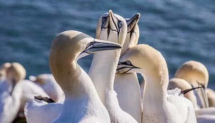 关键细节曝光——17c影院短视频热度暴涨，背后可能是这件事