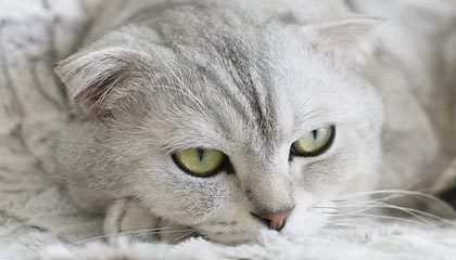 黑料入口引爆：揭秘黑料网的潜力与真相