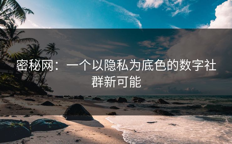 密秘网：一个以隐私为底色的数字社群新可能