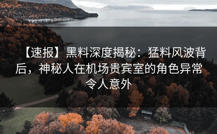 【速报】黑料深度揭秘:猛料风波背后,神秘人在机场贵宾室的角色异常令人意外