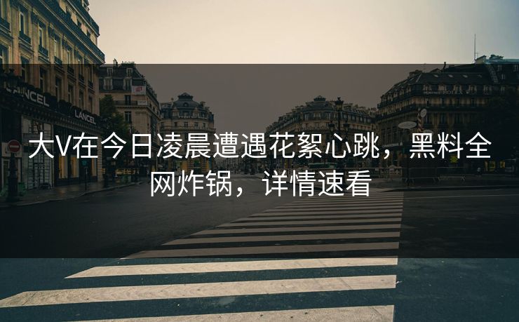大V在今日凌晨遭遇花絮心跳，黑料全网炸锅，详情速看
