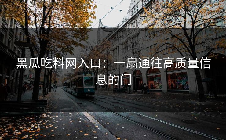 黑瓜吃料网入口：一扇通往高质量信息的门
